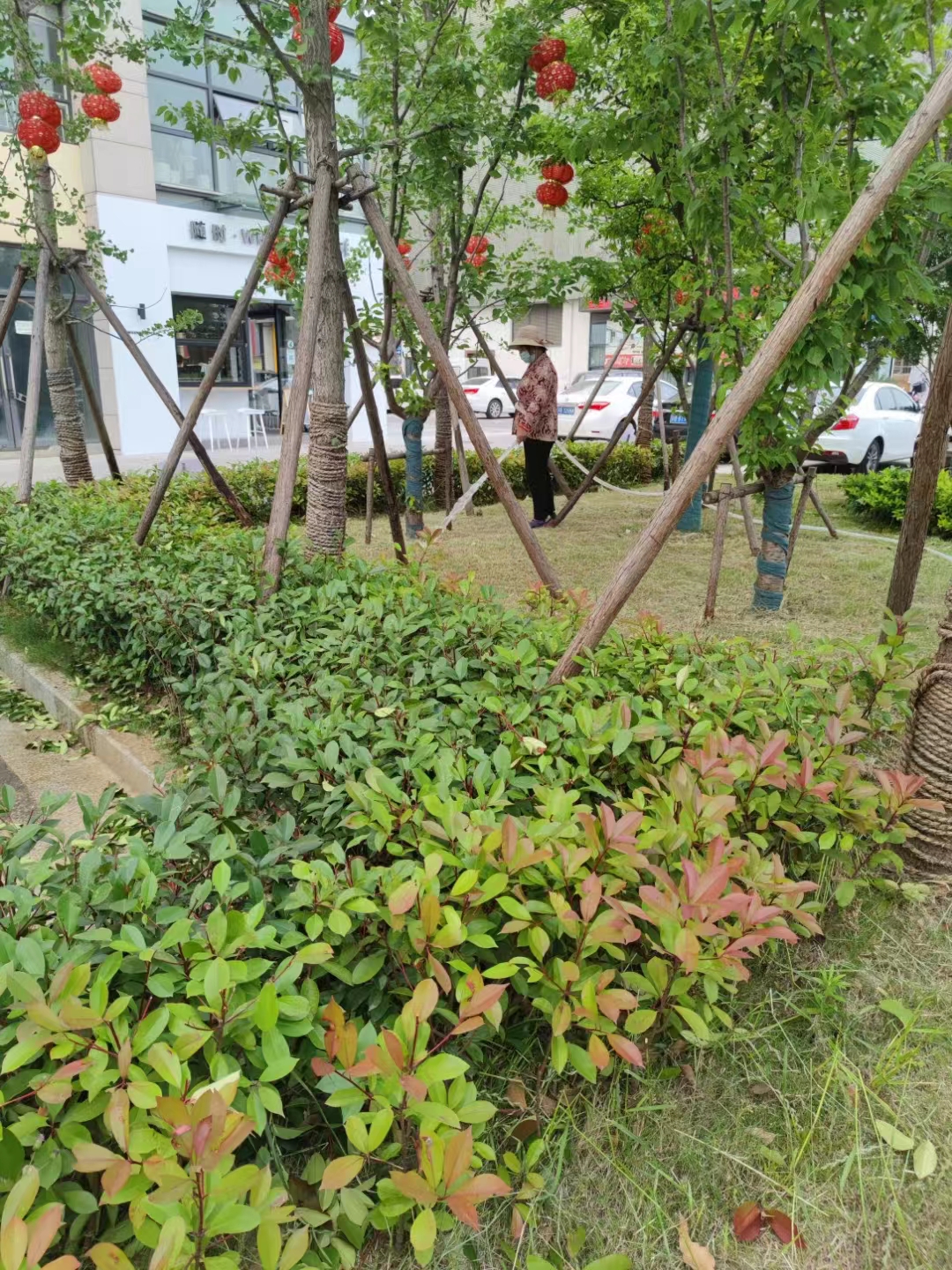 業(yè)務范圍